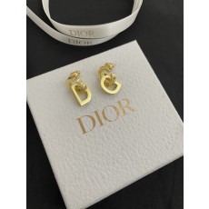 디올 귀걸이
